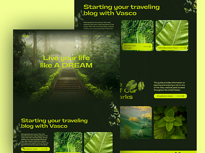 Explore Nation Parks - Website Design design ui uidesign uxui website