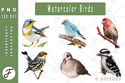 Watercolor Birds birds clipart birds collection birds png book cover cartoon animals clipart birds coloring book funny animals funny clipart funny png illustration kids coloring book watercolor birds watercolor clipart watercolor png