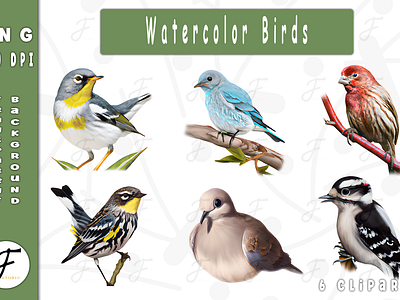 Watercolor Birds birds clipart birds collection birds png book cover cartoon animals clipart birds coloring book funny animals funny clipart funny png illustration kids coloring book watercolor birds watercolor clipart watercolor png