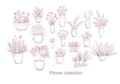 flowers illustration