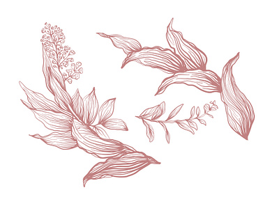 Flowers illustration set flowers illustration