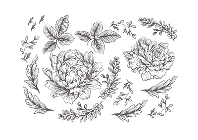 flowers set design flowers graphic design illustration set