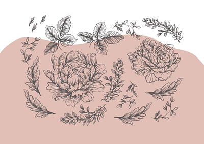 sflower set design illustration design flowers graphic design illustration set
