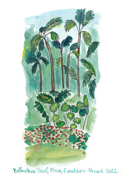 Wild forest in Ecuador, South America - Watercolor illustration abstract artjournal biodiversity cloud design doodle ecuador flowers forest graphic design green illustration palmtree paper sketch south america travel trip watercolor wild