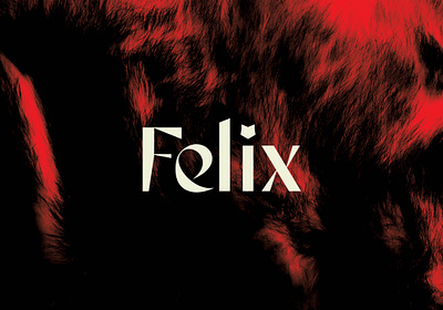 Felix Spirits beverage branding campaign design graphic design illustration logo packaging design whiskey whisky