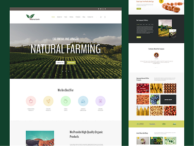 Harvesting Inspiration: Designing a Natural Farming Website ecofriendly farmtotable graphic design naturalfarming organic organic farming organicfarming sustainableagriculture ui ui design ux visual design webdesign website design