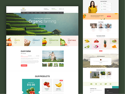 Growing with Nature: Designing an Organic Farming Website farming website graphic design organic farming organic farming website ui ux visual design website design