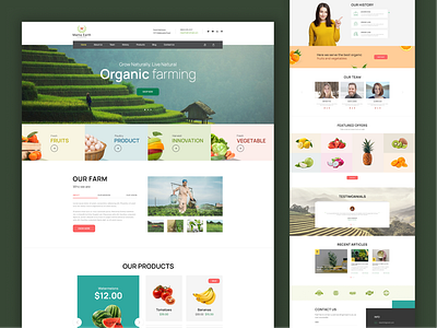 Growing with Nature: Designing an Organic Farming Website by Ashish ...
