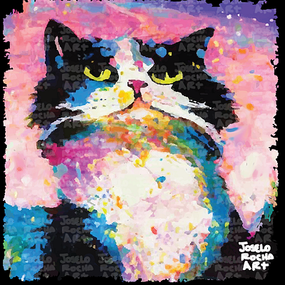 Cat Shirt : Cat Tuxedo Colorful colorful