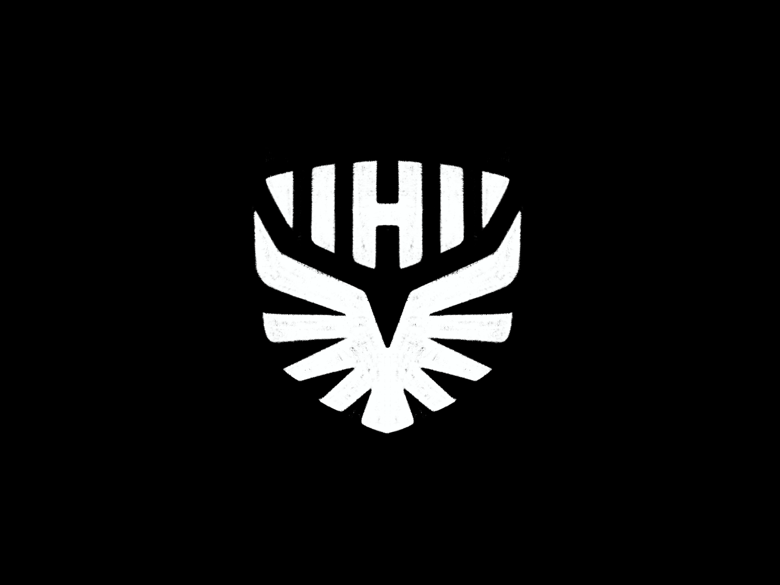 Harrowgate - Concept 02 bird bird of prey bold branding concept eagle feather h heraldic heraldry illustration logo logodesign logotype shield sketch sketching sunray tension wings