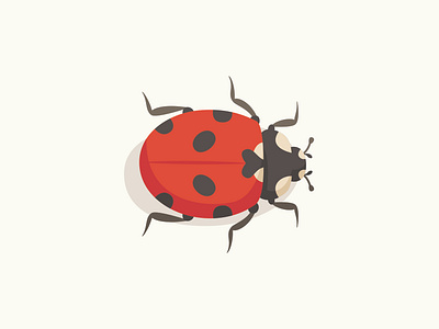 Ladybug bug graphic design icon illustration ladybug symbol vector