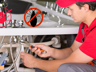 Plumbing Pest pest pests plumbing pests