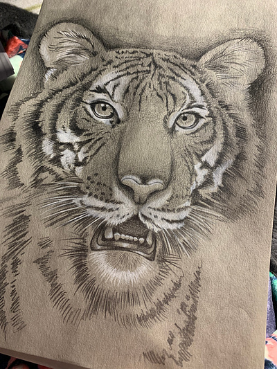 Photo realism practice animal art design graphite illustration photorealism realism tattoo tattooart tattoodesign tiger traditionalart