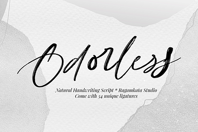 Odorless - Natural Handwriting Script brush casual chic elegant fashion feminine font fonts handwriting handwritten ink logo natural notes pen quote retro script stylish writing