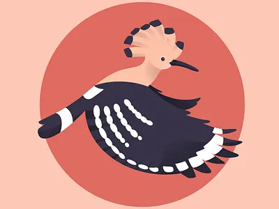 Hoopoe birds geometric illustration procreate