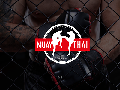 Duzce Muay Thai logo branding graphic design logo logo design