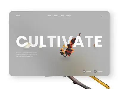 Second Glassmorphic Mockup design ui uiux ux web