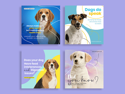 Social media post design ads branding design dogs graphic design marketing post post design social media