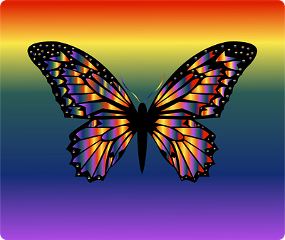 Butterfly in adobe illustrator adobe illustrator animation animations branding butterfly colors design graphic design illustration typography