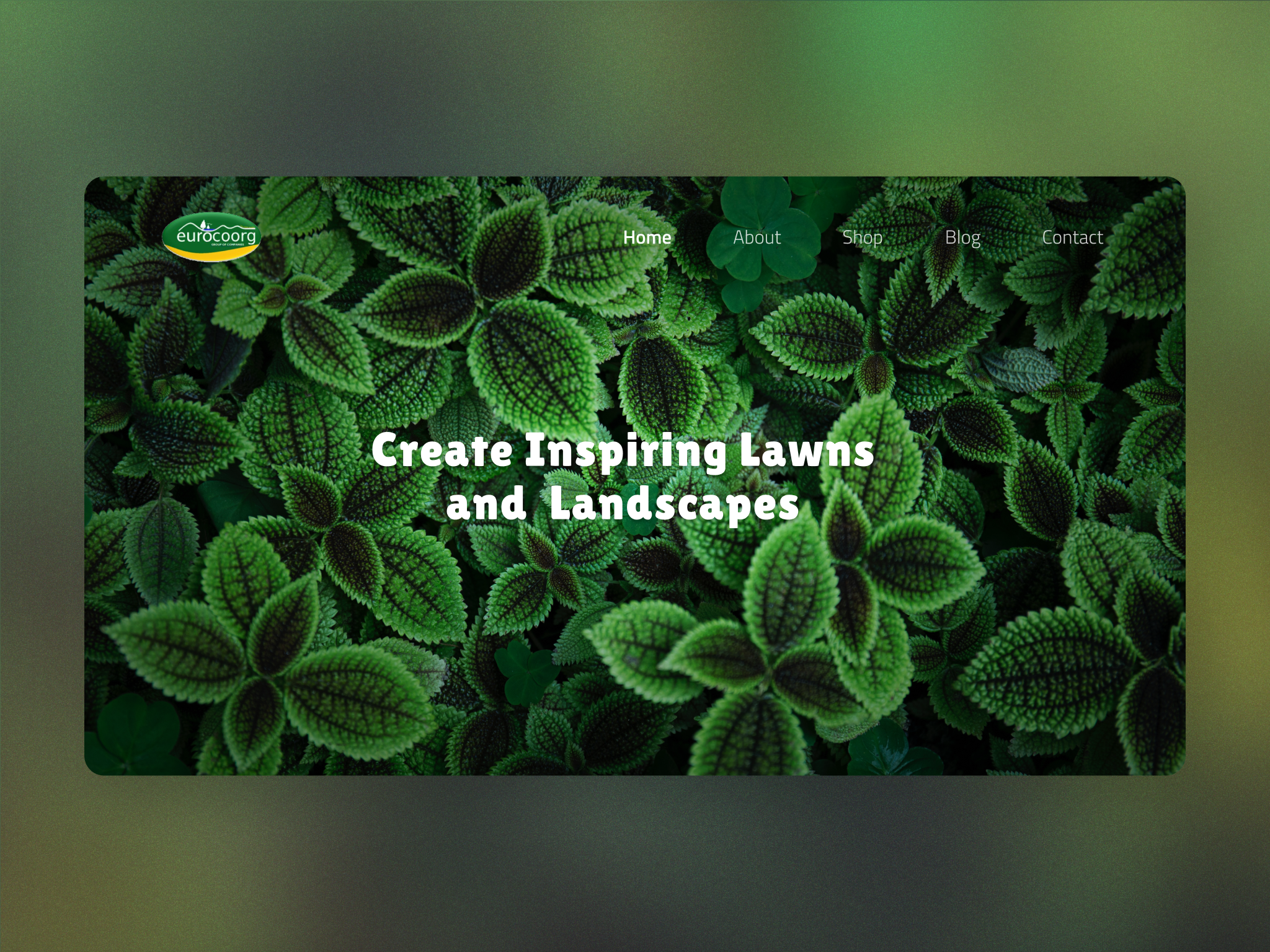 EuroCoorg Landscaping branding design ecommerce website ui ux web development