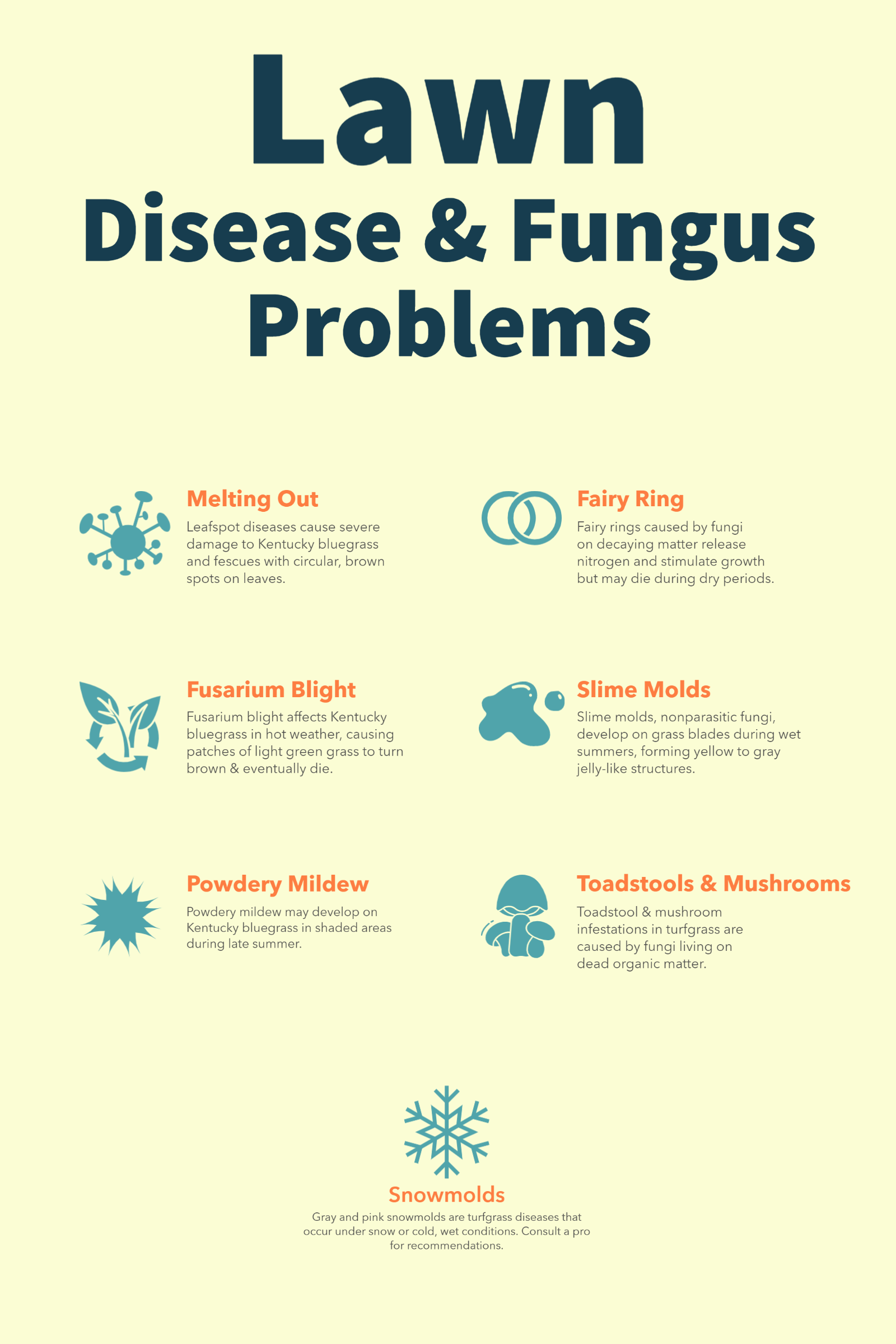 Lawn Care Disease & Fungus Problems design infographic