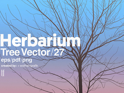Herbarium: Tree Vector No.27