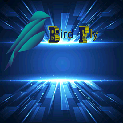 Bird Fly branding graphic design logo