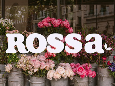 Branding for flower shop "Rossa" brand branding card design flower flowershop graphic graphic design grid illustrator logo logotype shop