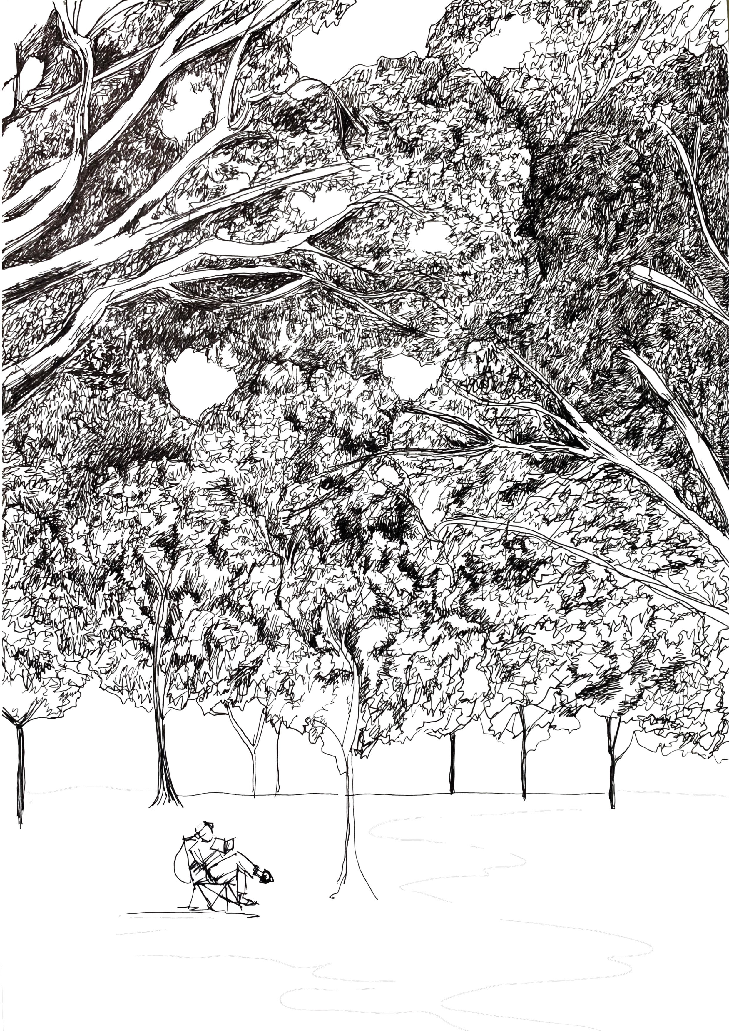 at the Park graphic design ili illustration