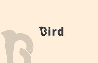 Bird apps design branding design graphic design illustration logo typography ui vector
