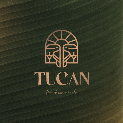 TUCAN - LOGO DESIGN branding design graphic design illustration logo typography
