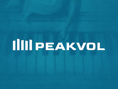 PeakVol Identity branding graphic design icon logo typography