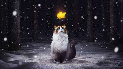 The Last One adorable animal cat cats cute digitalart fantasy feline fur furry humanart kitty lovely photoedit photomanipulation snow snowfall sweet whiskers winter