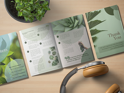Plant Brochure Design for Jenelia drake branding brochure design catalog design flyer design graphic design print material design