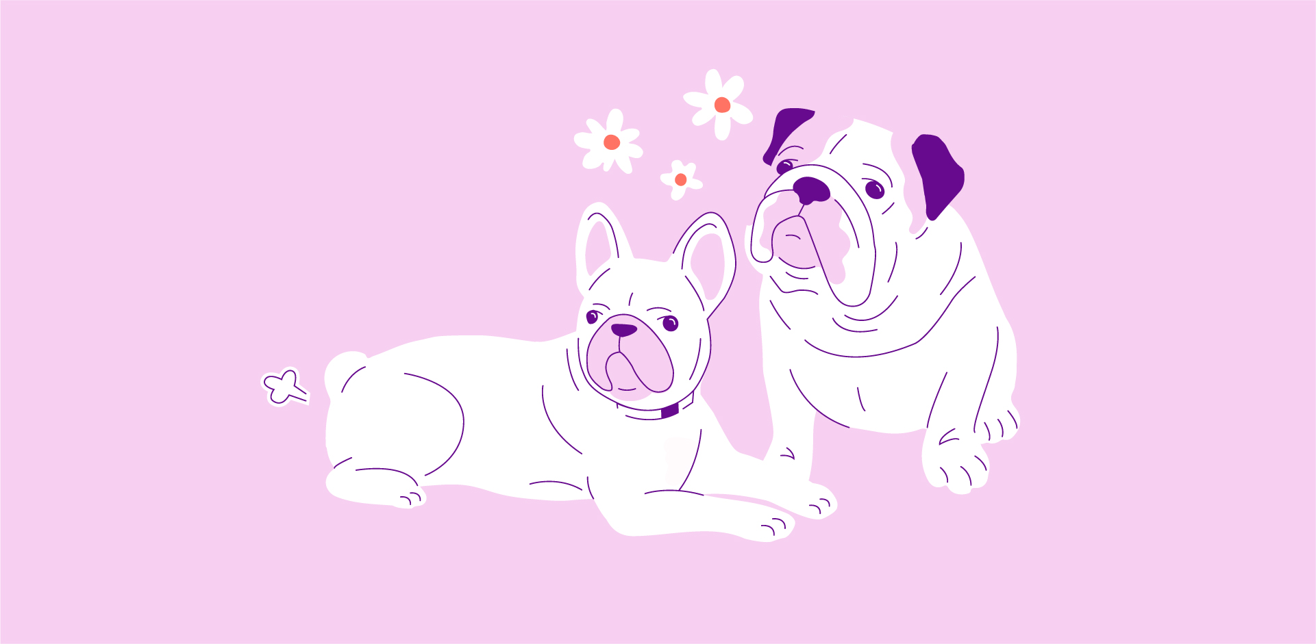 Two Pups Illustration character digital illustration illustration procreate