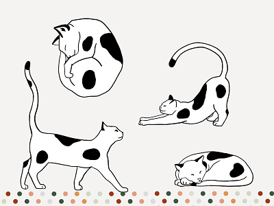 Illustrated Cats - Columbo branding cats design illustration