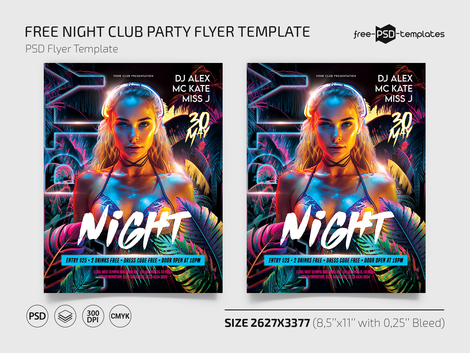 nightclub flyers psd