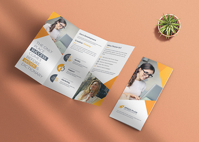 Corporate Business Trifold Brochure brochure brochure design business corporate design flyer print trifold trifold brochure