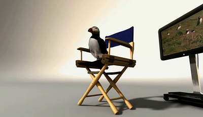 The Adventures of Puffin 3d 3d animation 3d puffin animation puffin