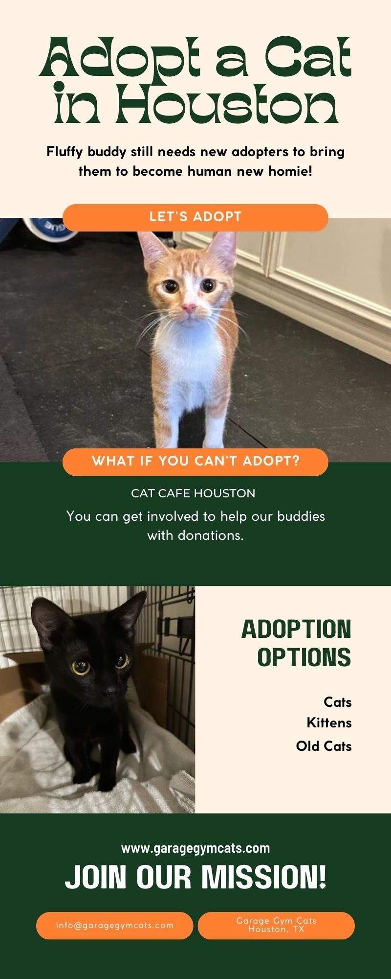 Adopt a Cat in Houston by garagegymcats on Dribbble