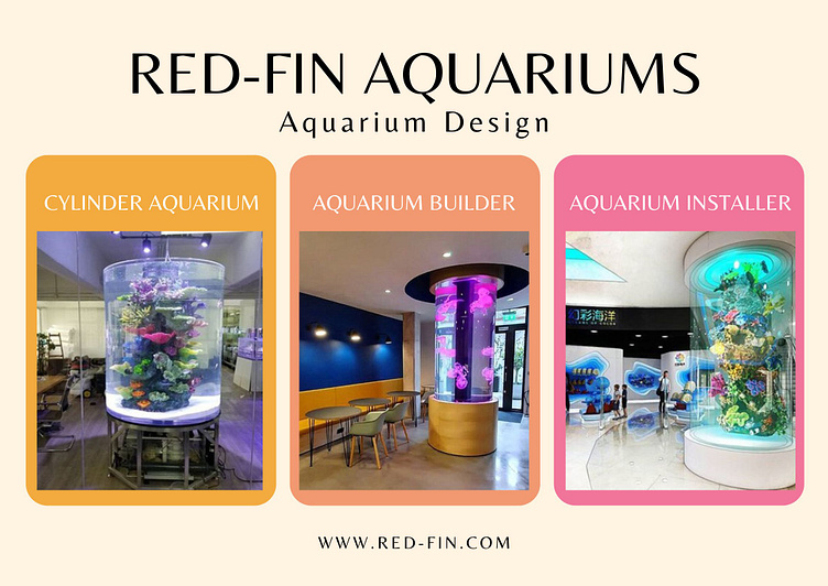 Aquarium designer RedFin Aquariums by Joe Rogan on Dribbble