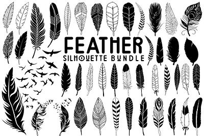 Feather SVG Bundle bird svg feather illustration feather logo feather pattern feather svg feather vector feathers svg peacock svg