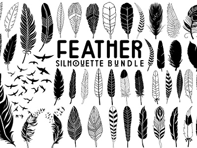 Feather SVG Bundle bird svg feather illustration feather logo feather pattern feather svg feather vector feathers svg peacock svg