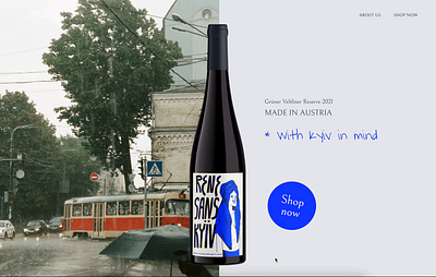 ReneSans Kyiv wine shop design desktop e commerce ecommerce interface ui uxui web design wine winery