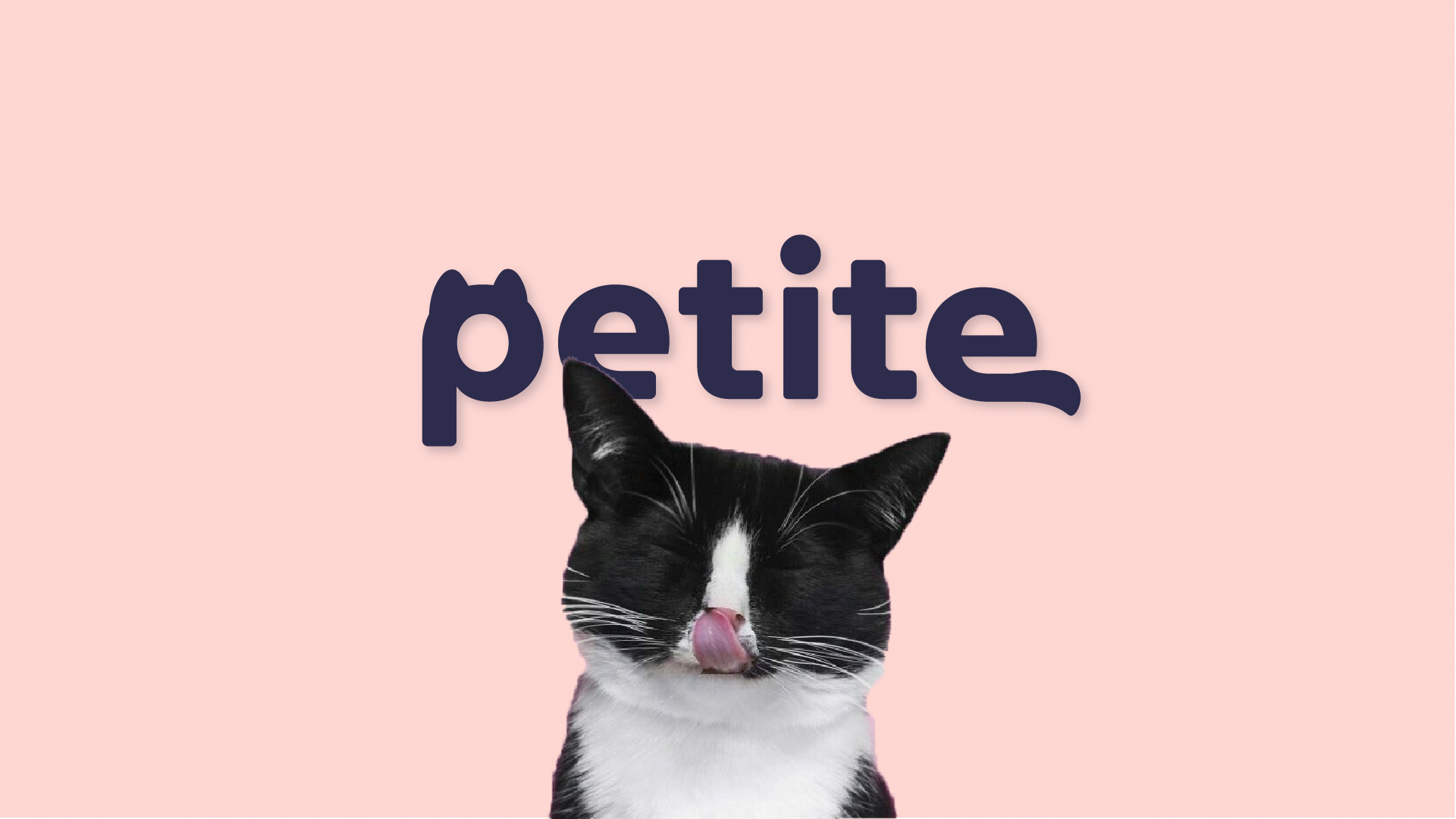 Petite logo for cats food brand branding catsfood graphic design logo motion graphics typography