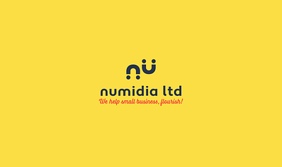 Numidia Ltd logo brand branding business consultant icon logo logo design logomark logotype motion graphics