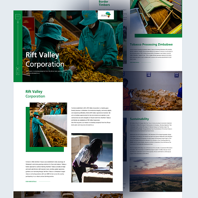 Rift Valley Corporation agriculture branding design landing page minimalist ui ux web website