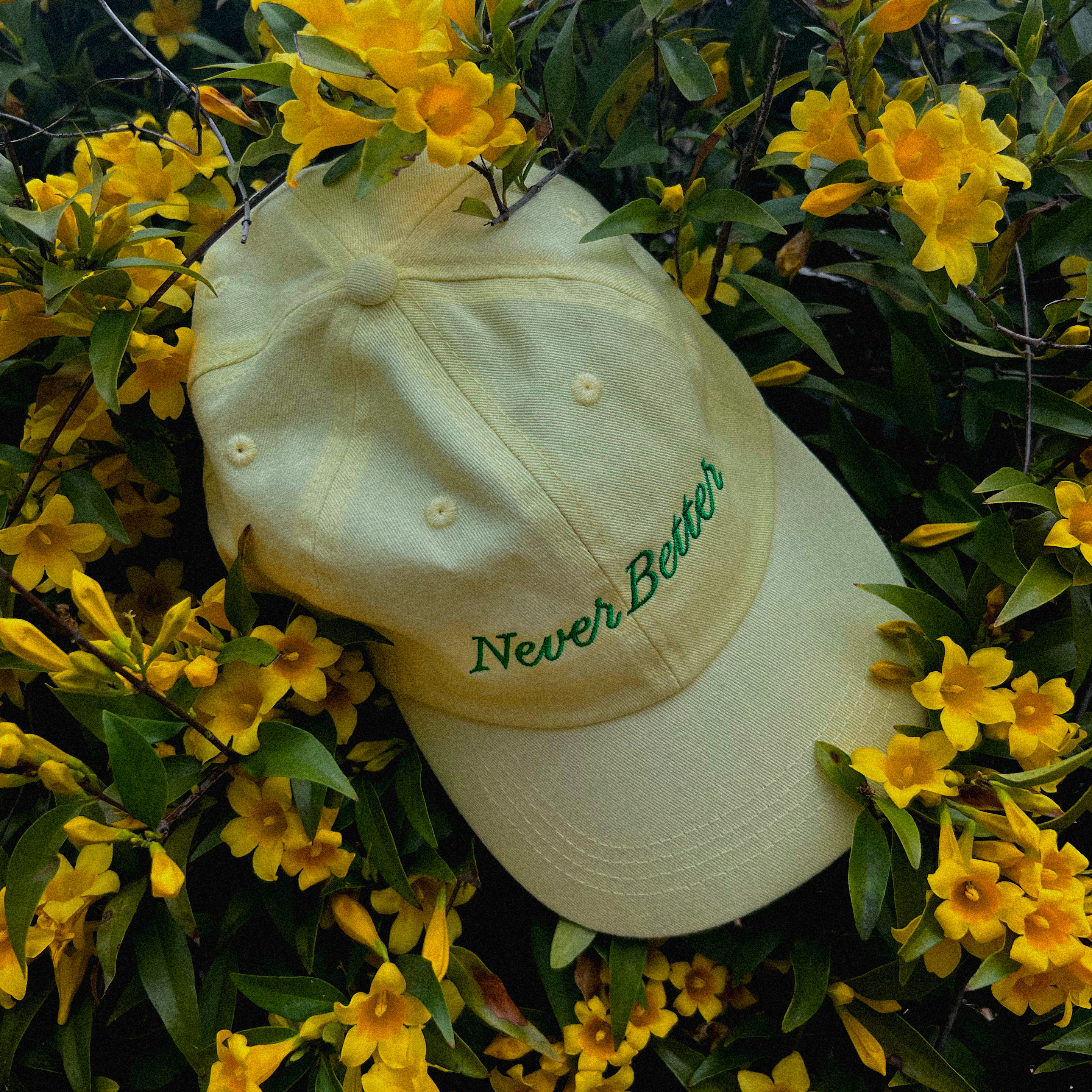 Never Better hat branding dad hat embroidery hat identity logo script studio typography wordmark