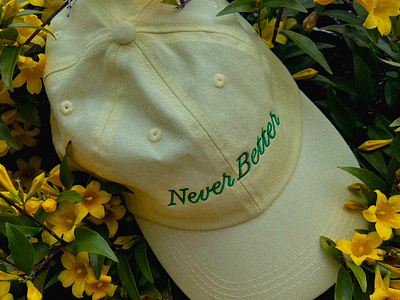 Never Better hat branding dad hat embroidery hat identity logo script studio typography wordmark