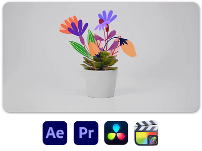 Animated Leaves And Flowers after effects animation davinci resolve final cut pro graphic design hand drawn premiere pro